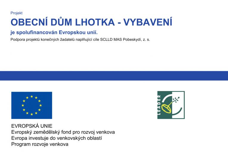 eu leader publicita 1
