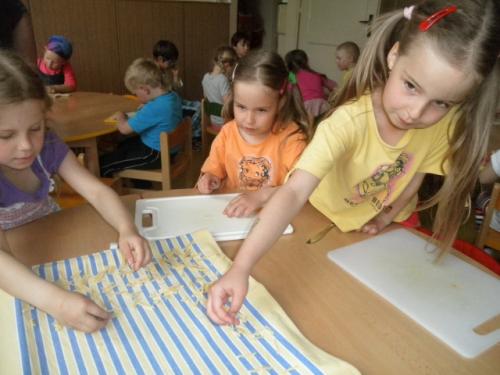 13.06.2013 - 2013- MŠ-děti a jejich aktivity